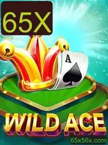 Descubra o Fascinante Mundo de WildAce: O Jogo que Revoluciona a Diversão com a Mecânica 65X